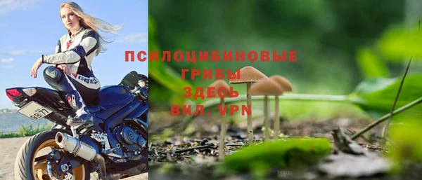 прущая мука Новодвинск