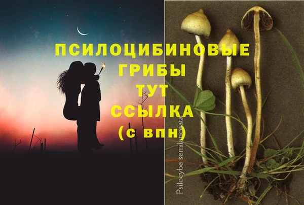 прущая мука Новодвинск