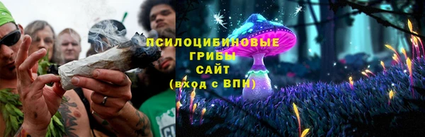 прущая мука Новозыбков