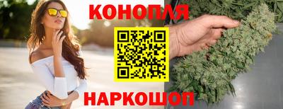 крисы Северобайкальск