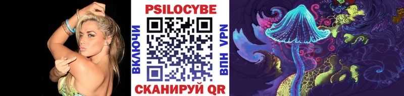 Псилоцибиновые грибы Psilocybine cubensis  магазин    Южноуральск 