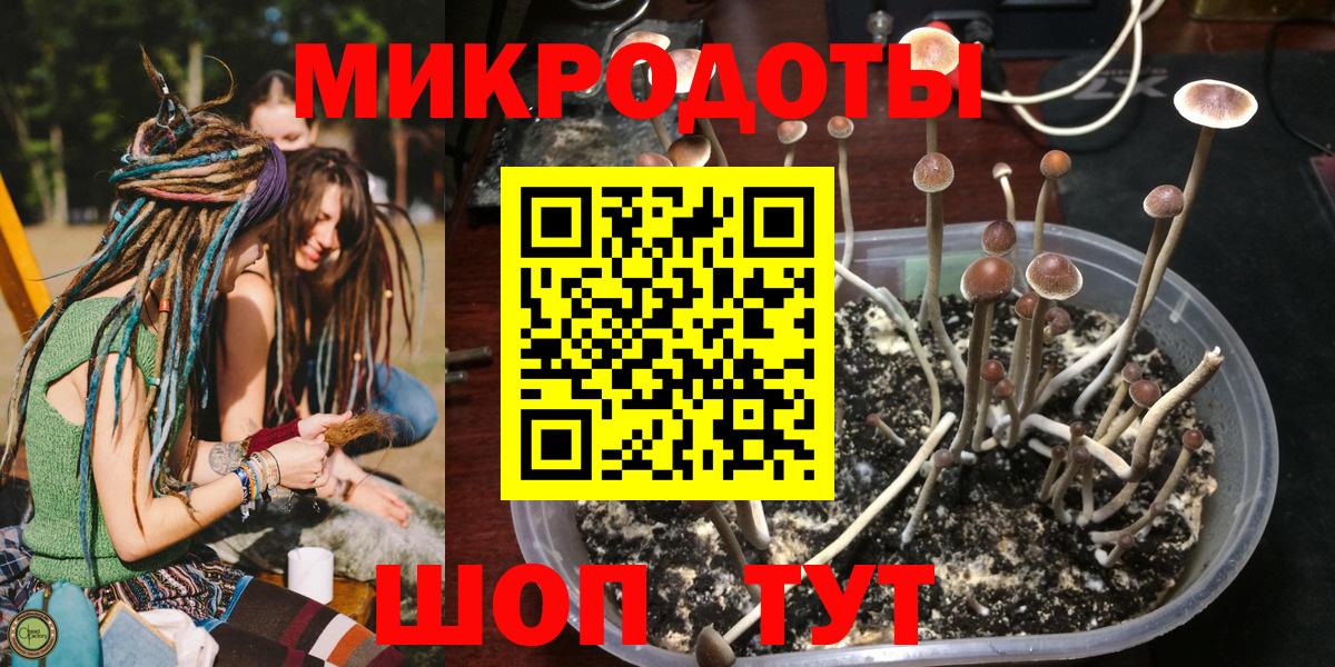 Галлюциногенные грибы Psilocybine cubensis Южноуральск