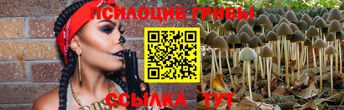 Псилоцибиновые грибы GOLDEN TEACHER  Галлюциногенные грибы Cubensis  Вход с VPN  Южноуральск 